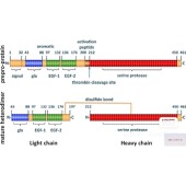 生信分析1 5分单细胞测序套餐TCGA GEO数据库挖掘