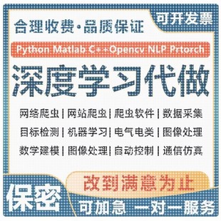 python图像处接单强化学习理创新代编程序深度学习cv算法代码调试