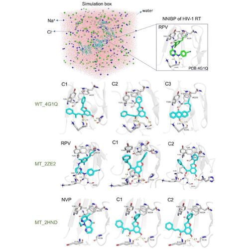 分子动力学模拟-薛定谔