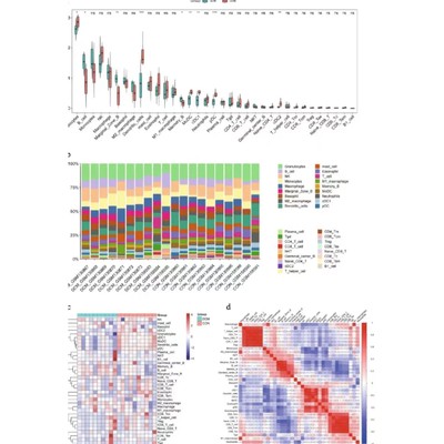 生物信息学教程生信GEO TCGA数据处理分析蛋白互作教学