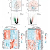 代做生信分析单细胞测序转录组网络药理靶基因预测分子对接