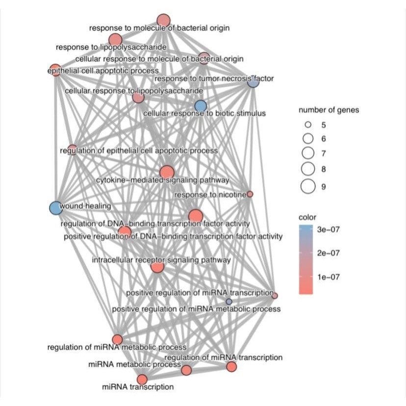 RNA-seq全转录组数据分析预后模型,商务/设计服务,其它设计服务,淘宝优惠券,粉丝福利购,淘宝优惠卷