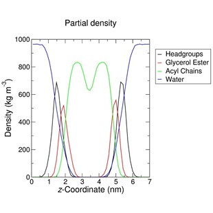 膜蛋白的分子动力学模拟蛋白模型构建分子对接基因家族