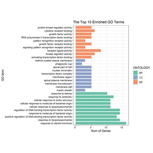 分子对接/网络药理学/中药复方/动力学模拟/虚拟筛选/小分子/多肽