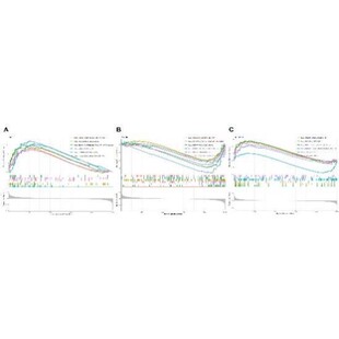 生信分析生物转录组服务2-8geo数据挖掘单细胞测序分析网络药理