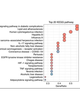 m6A/m5C/m7G - seq 数据生信分析表观遗传甲基化修饰