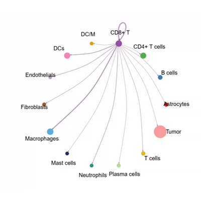 遗传学Chlp-seq1对1辅导零基础到精通生信分析