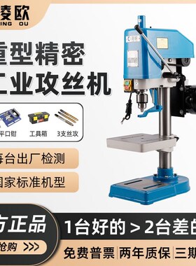 凌欧台式攻丝机小型工业级丝攻机电动攻牙机套丝螺纹SWJ-6/121624