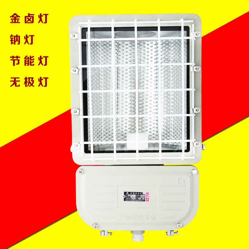 防爆投光灯 一体化防爆泛光射灯250W400瓦路灯油站灯沈阳华荣辽河