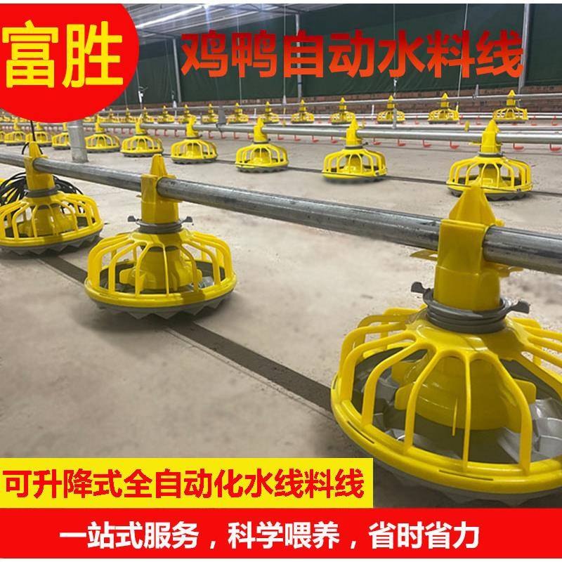 养鸡场自动喂料机饮水器养殖场专用水线料线全自动化上料机投料机