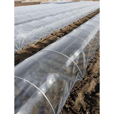 农用小拱棚专用膜二膜盖菜种植白色地膜保温育苗防尘透明塑料薄膜