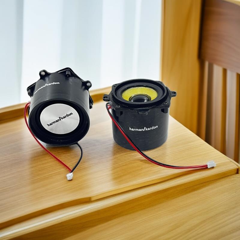 2英寸4欧姆10W高功率Ip68防水低音炮腔箱扬声器DIY无源小扬声器