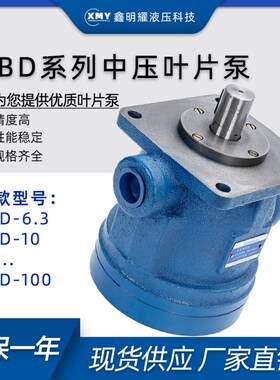 液压泵总成小型YBD-32/6.3/10/16液压油泵齿轮泵液压泵配件油压泵