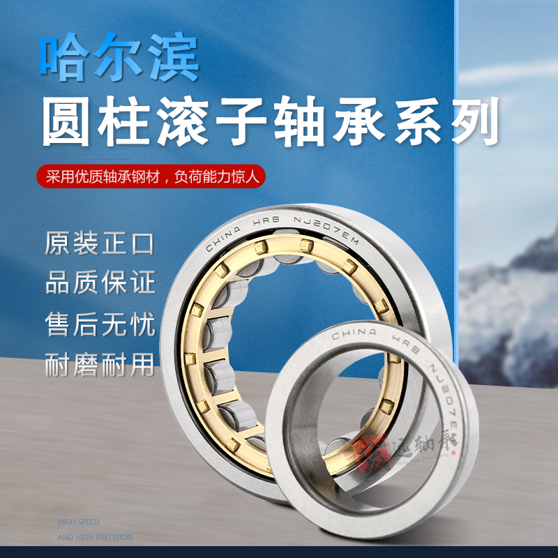 哈尔滨圆柱滚子轴承NU NJ NUP203 204 205 206 207 208 209 210EM