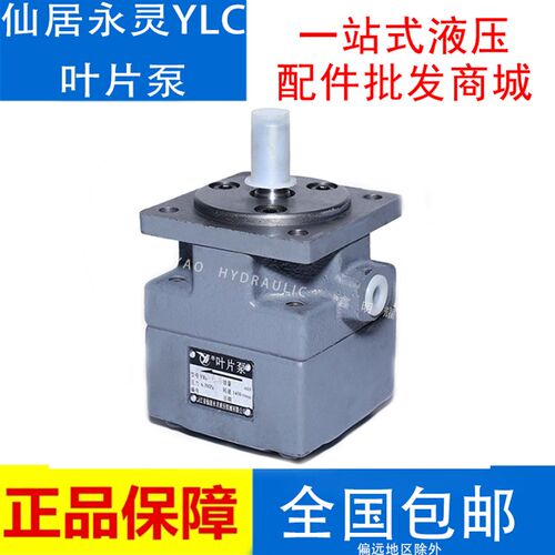 仙居永灵YLC液压叶片泵YB1-10液压齿轮油泵YB1-16/20/32/80/100正
