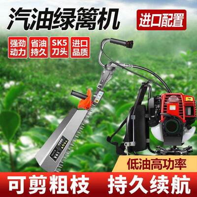 进口汽油HST茶叶修剪机大马茶绿篱力机配园林背树负式汽油绿篱机