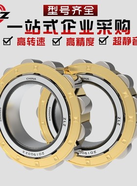 哈尔滨ZLZ轴承RN204M 205 206 207销售 307 309 RN309M特价