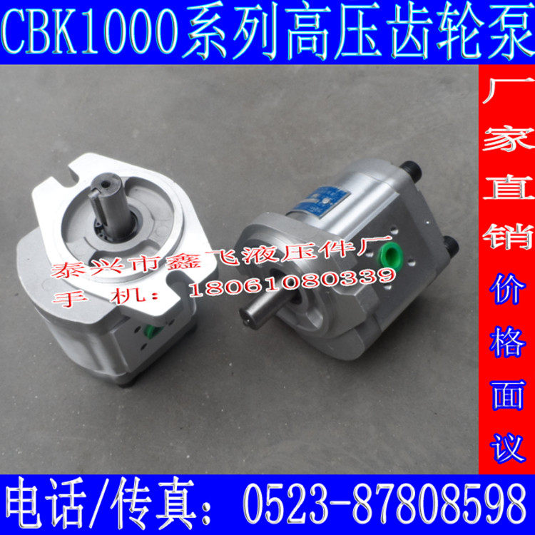 CBK1004 CBK1006 CBK1008 CBK1010 B1FR B1FL A1FR B1TR齿轮泵