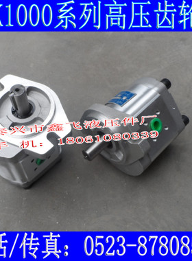 CBK1004 CBK1006 CBK1008 CBK1010 B1FR B1FL A1FR B1TR齿轮泵