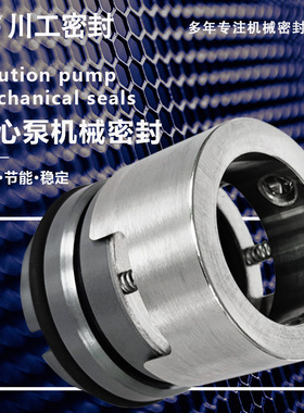 DFSS300-4C\JMZW-125/85.8-ZTMG 内置式机械密封和外置式机械密封