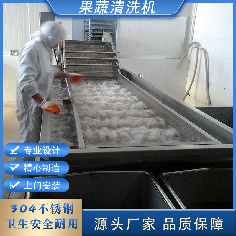 预制菜加工设备 果蔬清洗机大枣辣椒气泡喷淋清洗机 洗菜机