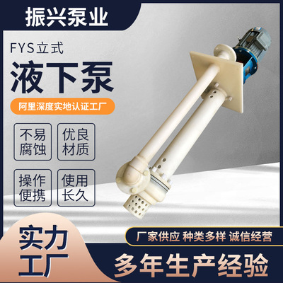 加工化工液下泵 工程塑料液下泵 FYS立式化工泵 离心小型循环水泵
