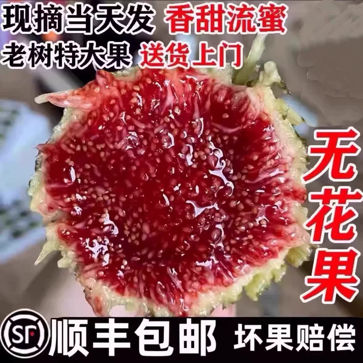 正宗特级云南格莱斯无花果当季新鲜现摘时令水果顺丰品质整箱23