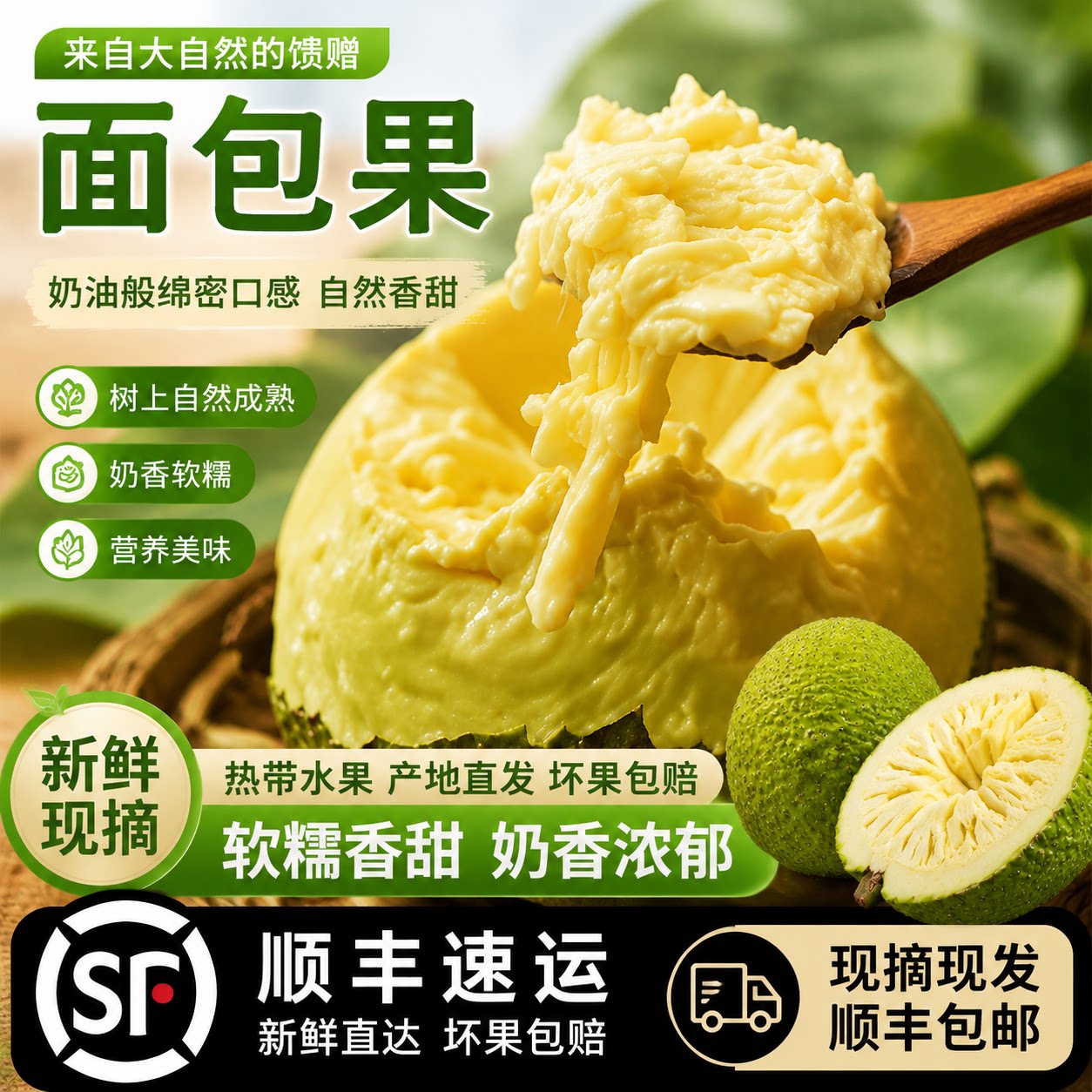 网红面包果新鲜当季现摘面包树果实罕见稀有热带水果面包果顺丰