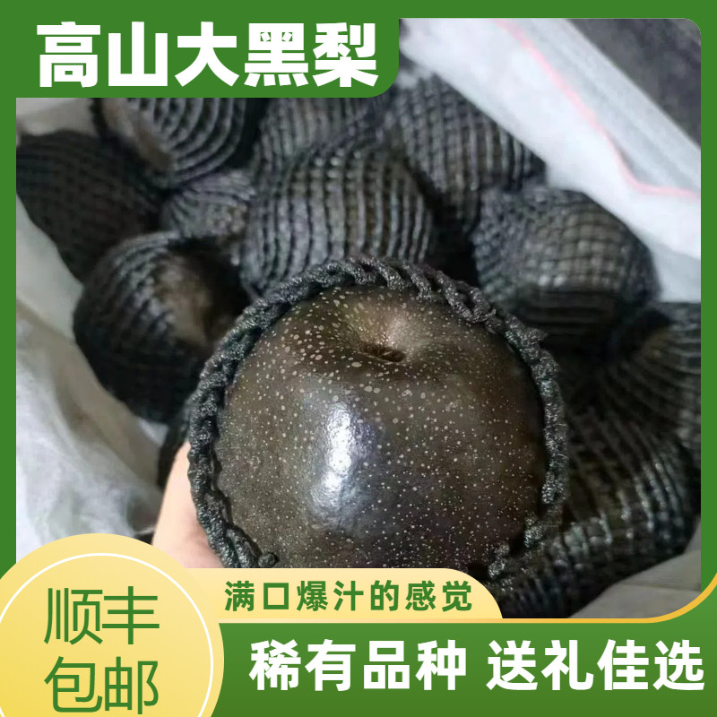 正宗高原黑乌梨四川高山黑梨新鲜稀有水果礼盒款装【顺丰包邮】21,水产肉类/新鲜蔬果/熟食,梨,淘宝优惠券,粉丝福利购,淘宝优惠卷