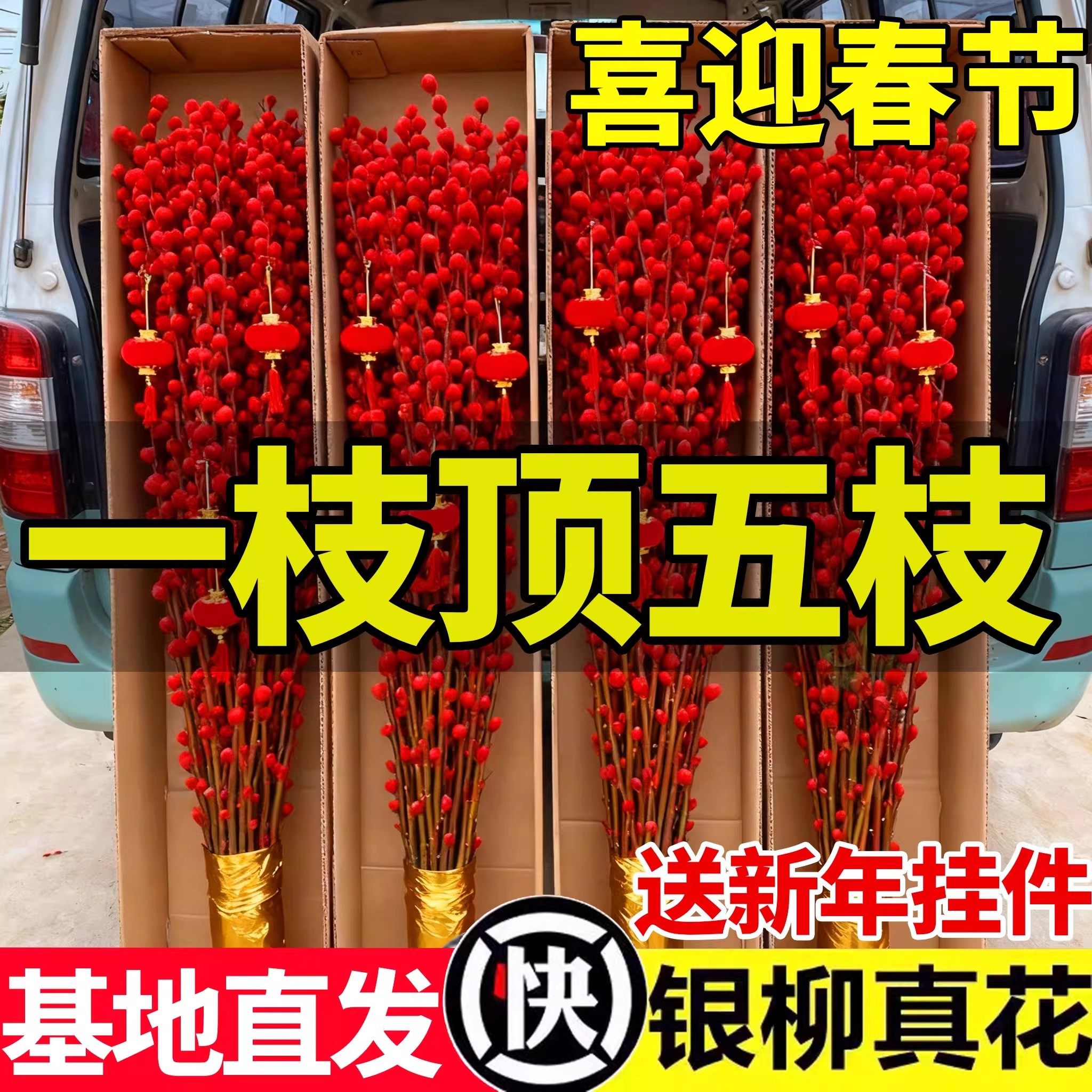 银柳真花鲜枝干花摆件室内水培绿植物新年红福桶招财年宵花卉盆栽,鲜花速递/花卉仿真/绿植园艺,红掌/凤梨/温室花卉,淘宝优惠券,粉丝福利购,淘宝优惠卷