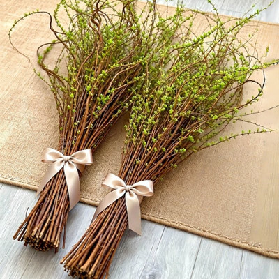 雪柳鲜枝带花苞水培植物室内绿植好养活鲜花云南基地直发干枝龙柳