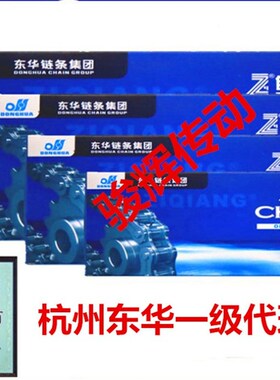 杭州东华自强链条 东华自强三排链06B-3 08B-3 10A 12A 16A 20A-3