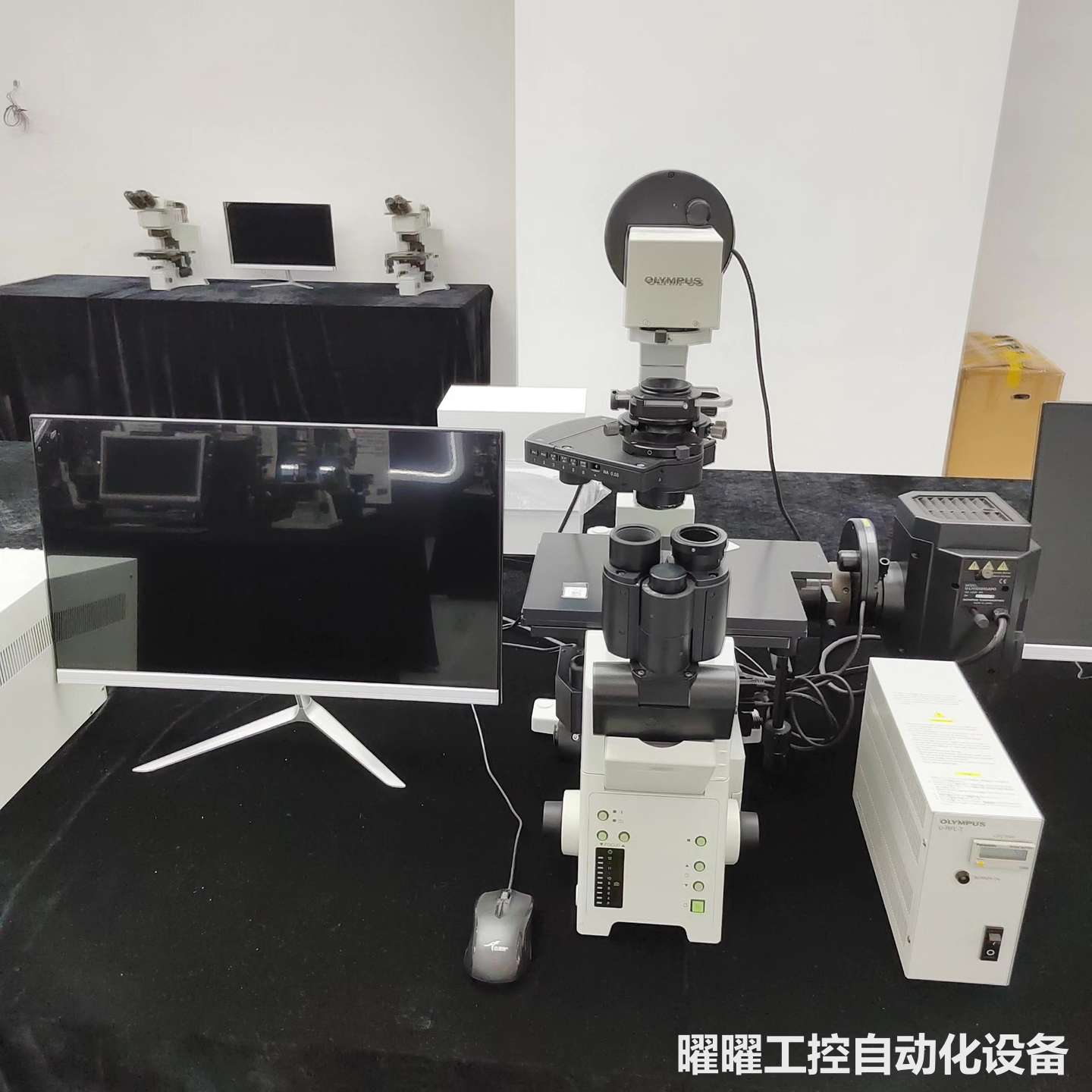 OLYMPUS/奥林巴斯 IX81 倒置显微镜