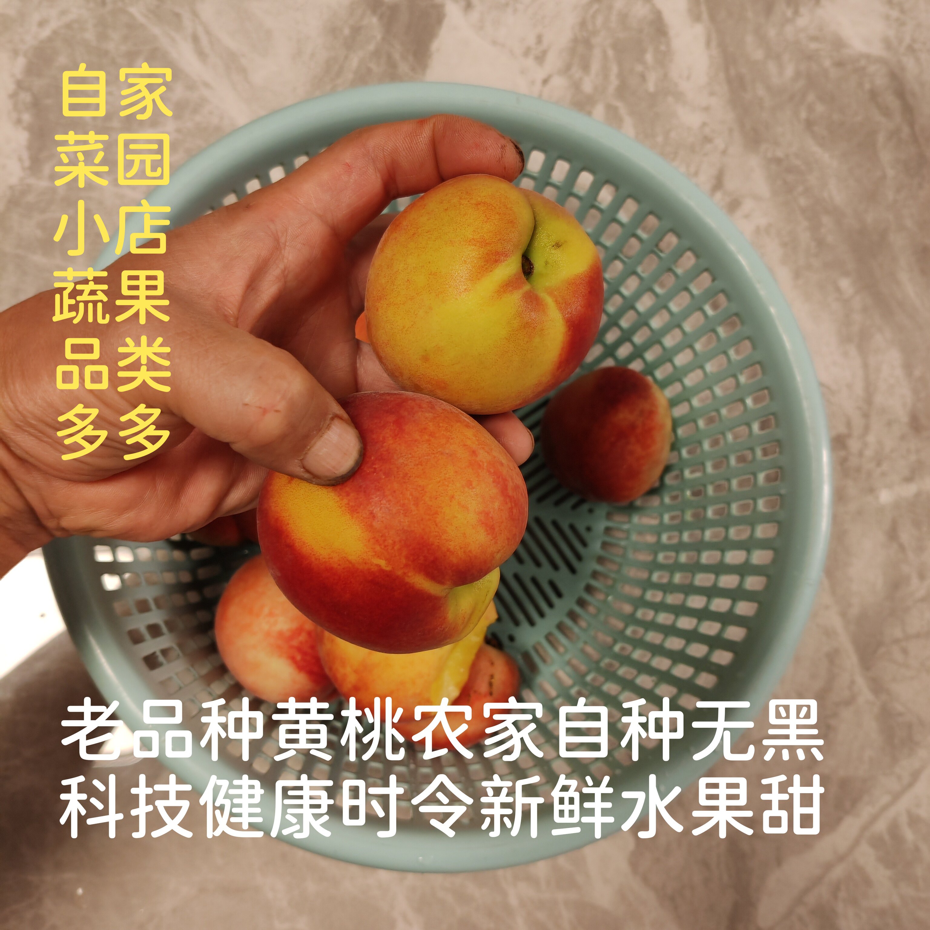 农家黄桃无黑科技个小香甜脆爽鲜