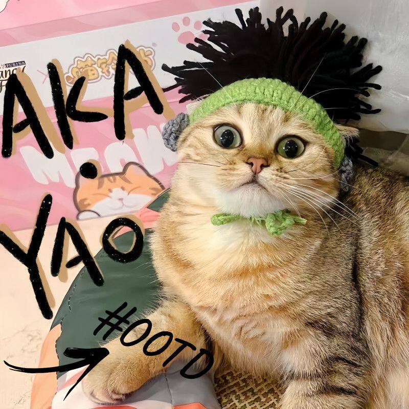 猫狗摇滚朋克绿帽拍照头套