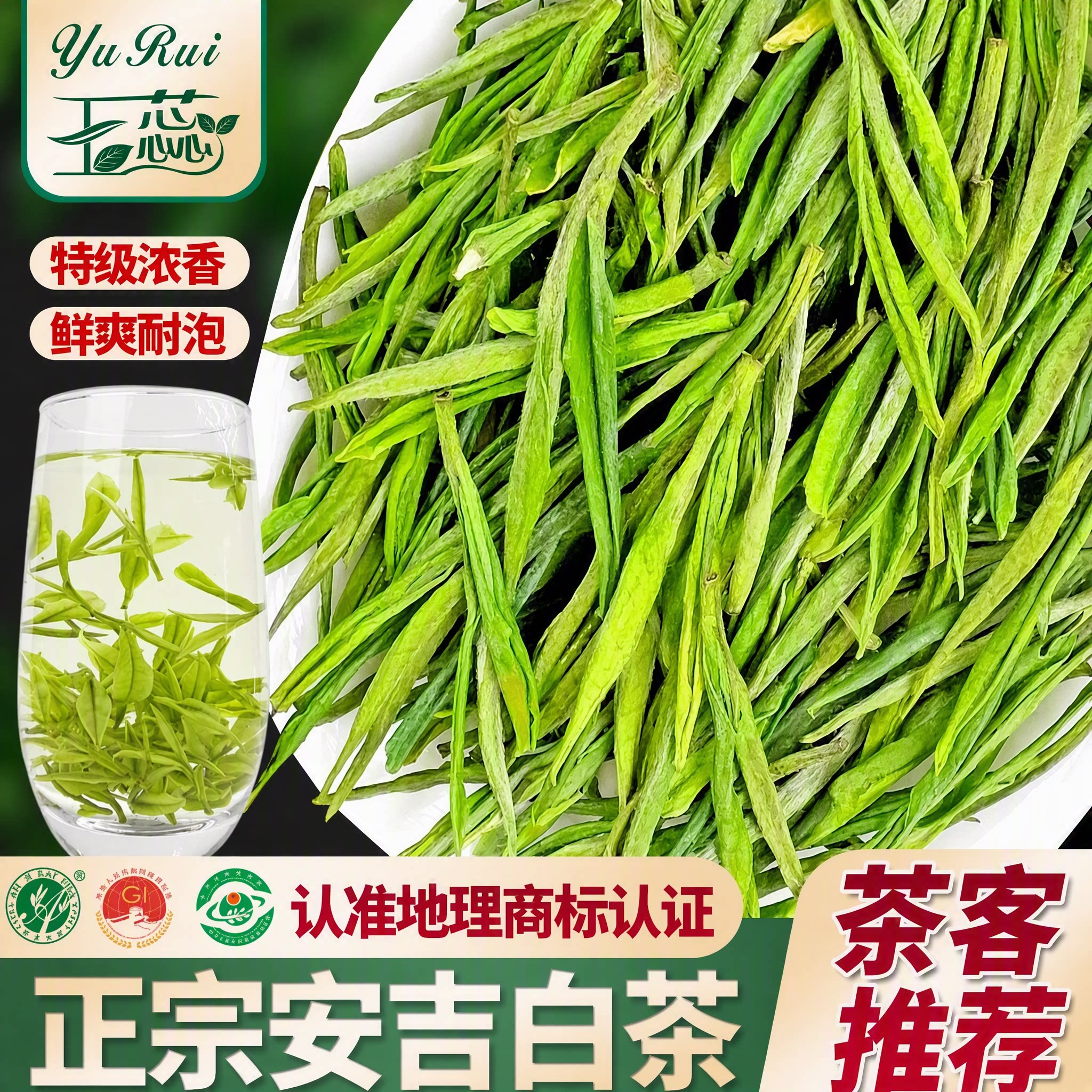安吉白茶特级250克罐装