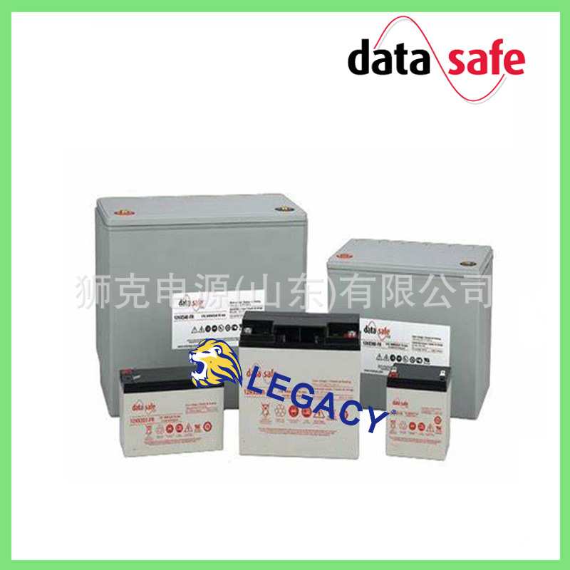 Data Safe蓄电池6HX50T-FR、NPX-35-6T、NPX-50TFR、NPX25-12T