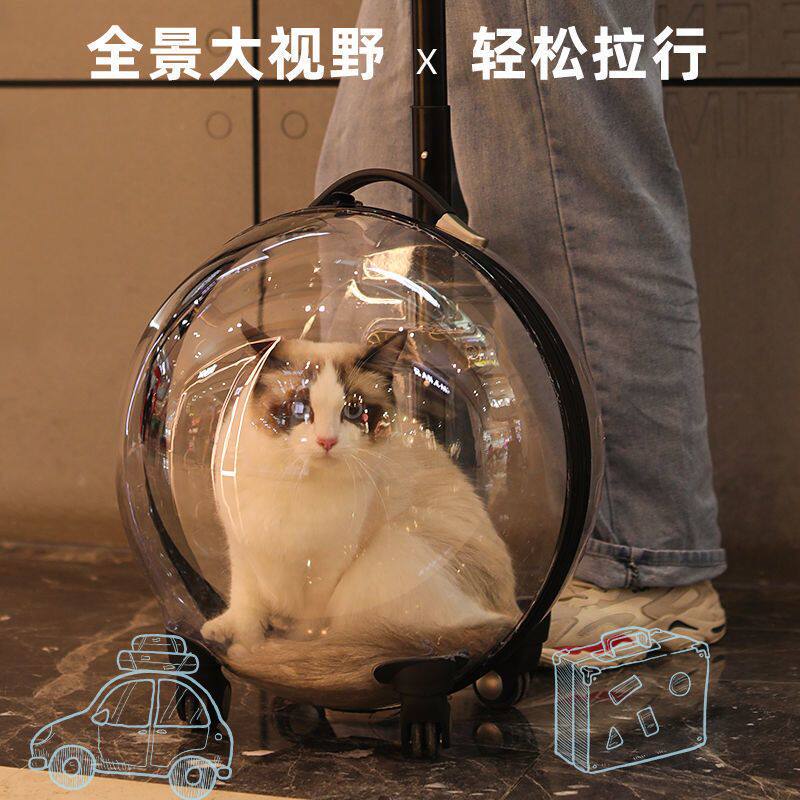 猫包外出便携出行狗狗拉杆箱透明太空舱猫笼子猫咪行李箱宠物推车