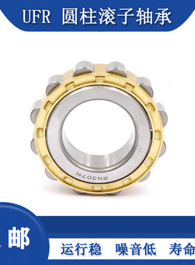 减速机偏心轴承RN306 307 308 309 310 311 312 313 328M