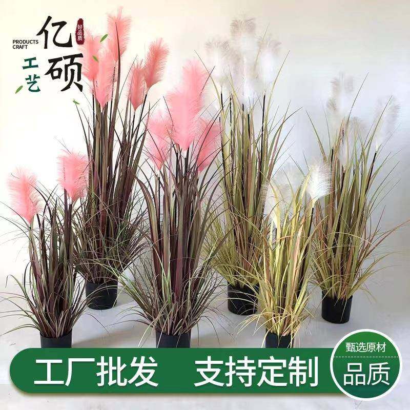 新品北欧仿真紫色芦苇草秋麻芦苇草单支简约装饰摆件芦苇干花,畜牧/养殖物资,畜牧/养殖器械,淘宝优惠券,粉丝福利购,淘宝优惠卷