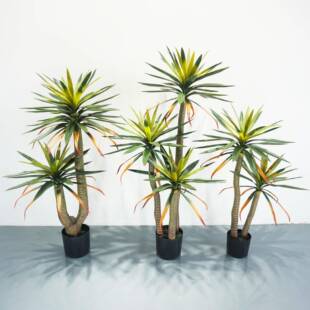 仿真植物大叶剑兰凤尾丝兰树剑麻仿真绿植盆景造景摆件工程绿植