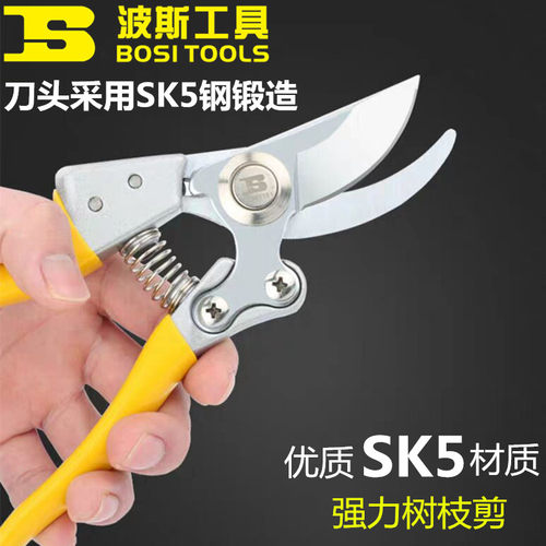 波斯工具不锈钢树枝剪SK5钢材修枝剪果树剪花枝剪剪刀园艺剪花剪