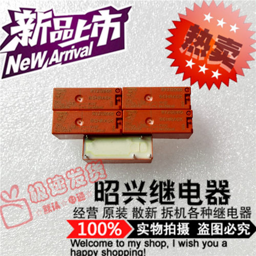 RY212009 全新进口RY212009-9VDC 泰科继电器 8A/250VAC