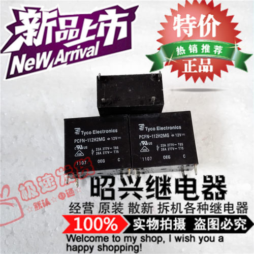 PCFN-112H2MG  正品 TE/泰科继电器 PCFN-112H2MG-12VDC 散装全新