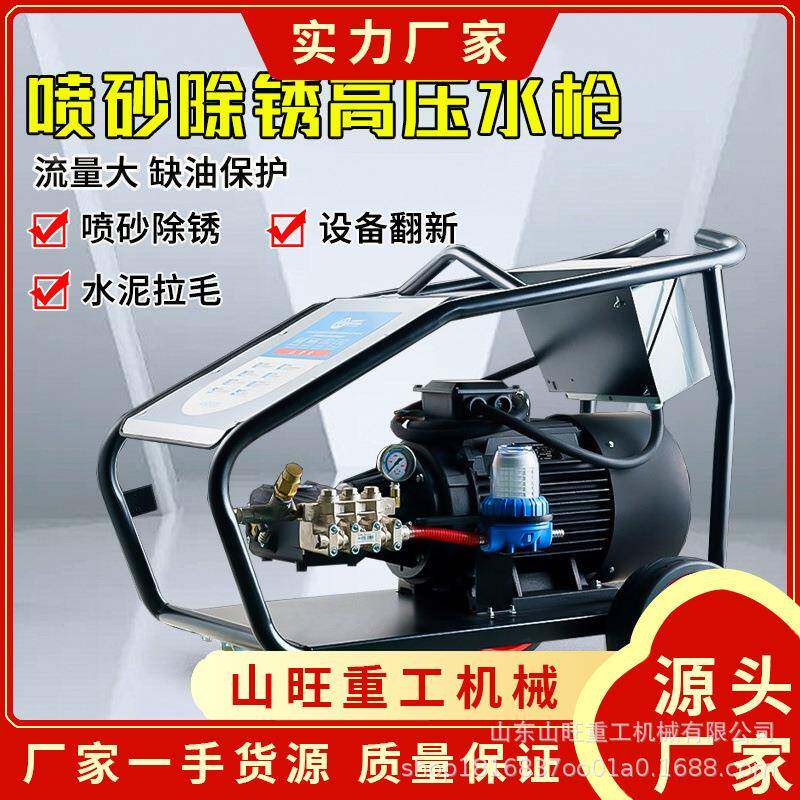 山旺洗车机220v洗车店养殖场大功率超高压清洗机水枪抢水泵
