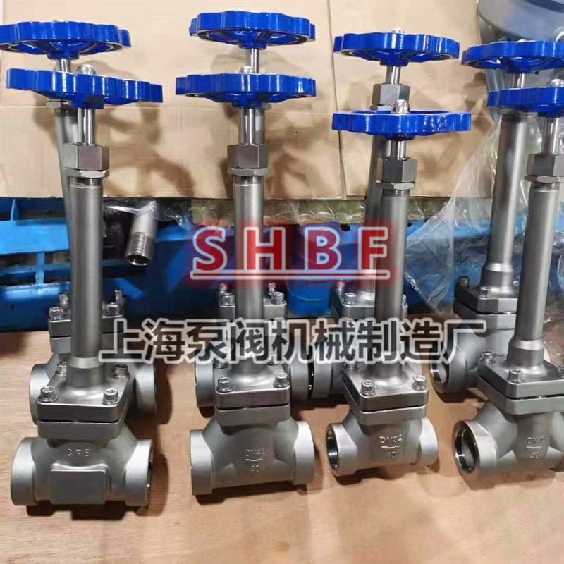不锈钢低温截止阀DJ61F-40P 液氮液氧LNG长轴截止阀DN15 25 40 50