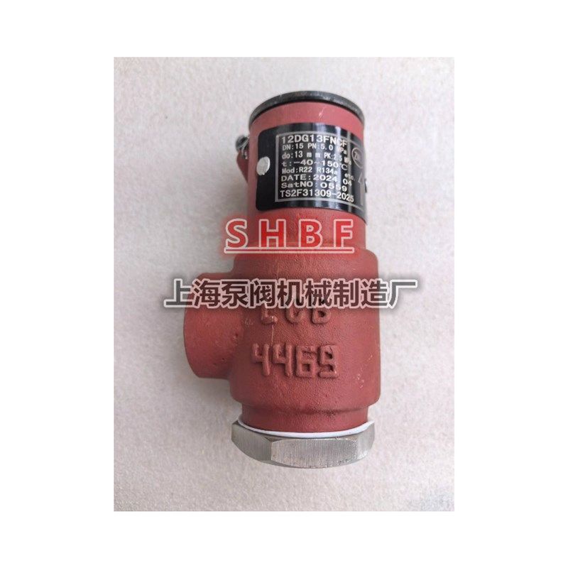 制冷氨用安全阀12DG13FNCF 12EH16FNCF 12GJ22FNCF工业冷冻安全阀
