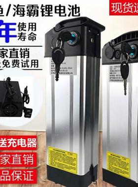 8v锂电YAR池412a25海a大容量锂电池银鱼霸款h电动折叠