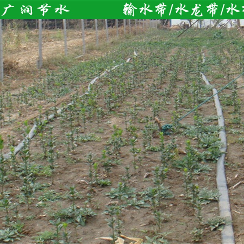 PE软带 输水带浇地水管农用灌溉软管一1.5寸输水软管带浇地用软管