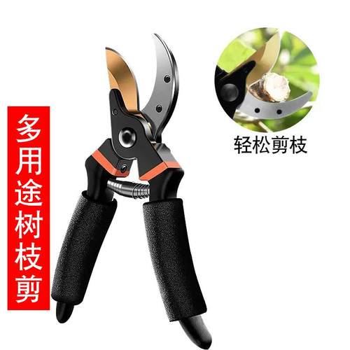 园艺刀剪果树修枝剪园林粗枝树枝用XTE艺的剪剪刀花修枝剪摘果剪